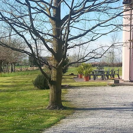 بيازولا سول برينتا Casarosa B&B المظهر الخارجي الصورة