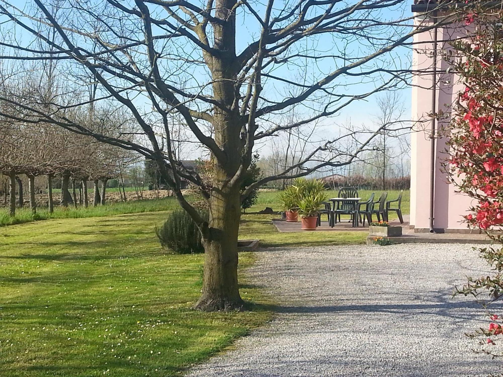 بيازولا سول برينتا Casarosa B&B المظهر الخارجي الصورة