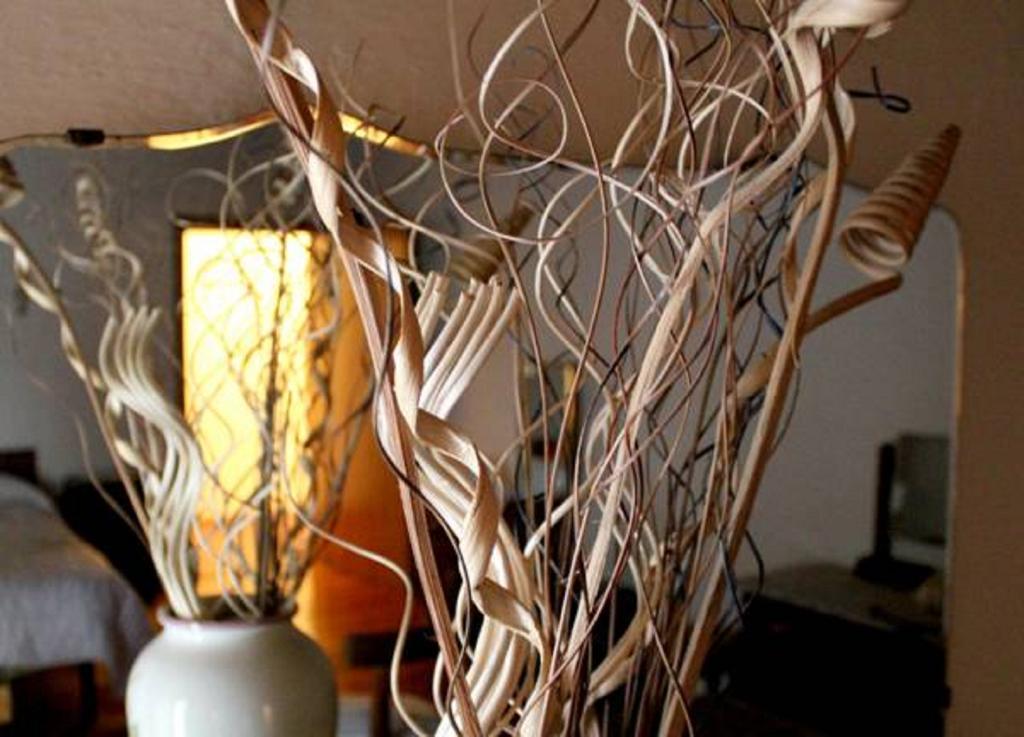 بيازولا سول برينتا Casarosa B&B الغرفة الصورة